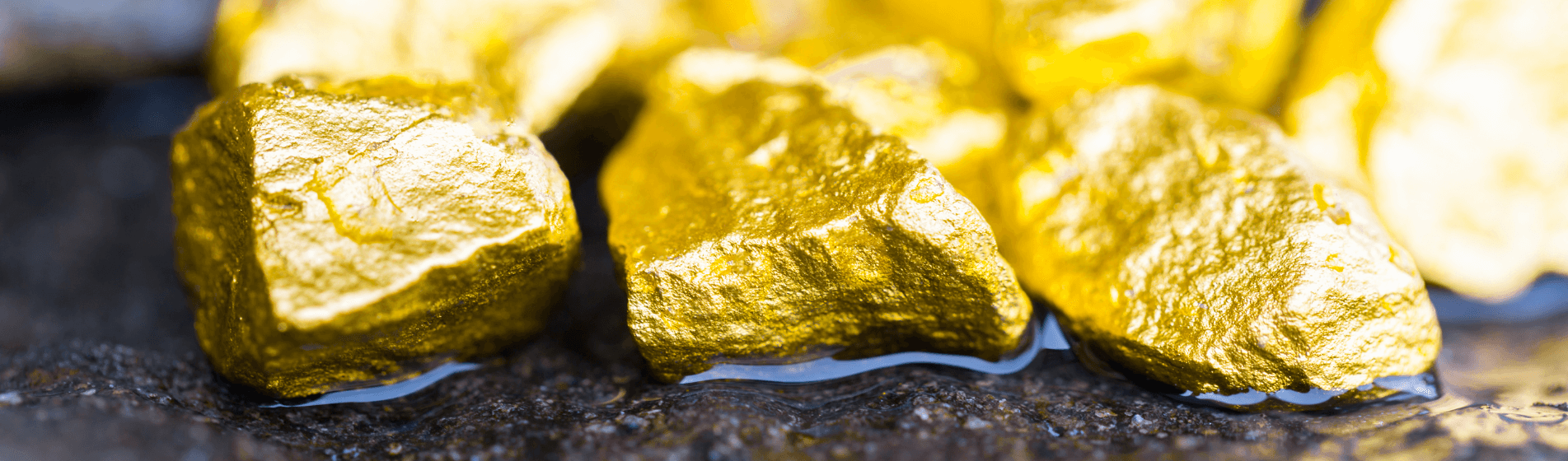 Biggest Gold Nugget Ever Found